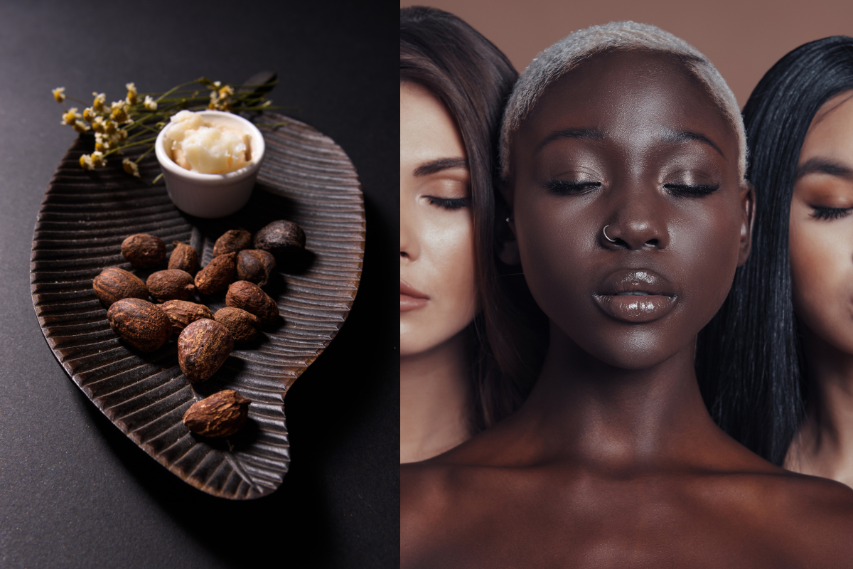 Shea Butter Benefits for all Skin Types